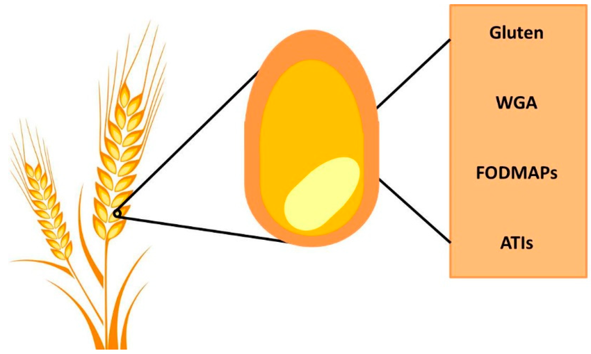 Gluten-Free-Secrets Gluten-Free Secrets