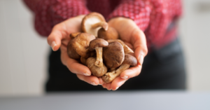 
Shiitake Mushrooms: