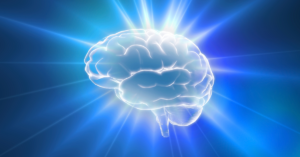 4. Obesity and Brain Health: The Neuroinflammation Link
